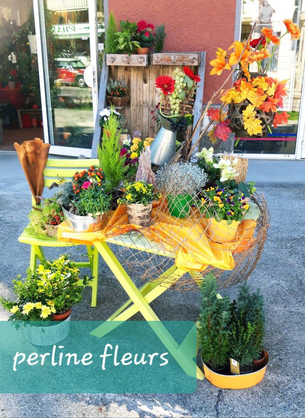 perline-fleurs-plantes-compositions
