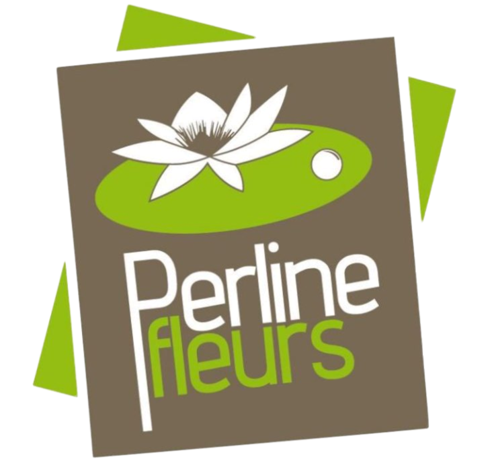 PERLINE_FLEURS_logo_new